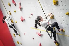 湖媒：东契奇重新登顶组织天赋指标排行榜