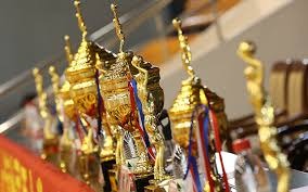 一河南球迷三轮车骑行19天，从郑州前往苏州观看足协杯决赛