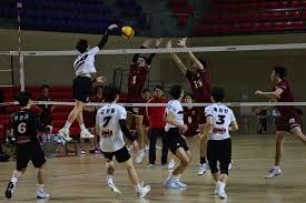 邮报：曼联正与纽卡争夺谢什科，为遵守PSR愿低价出售霍伊伦